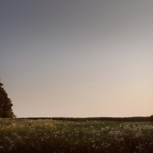 猛男肌肉Gya同性www
